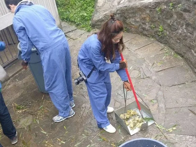 People in blue overalls cleaning the panda enclosure at Panda Valley