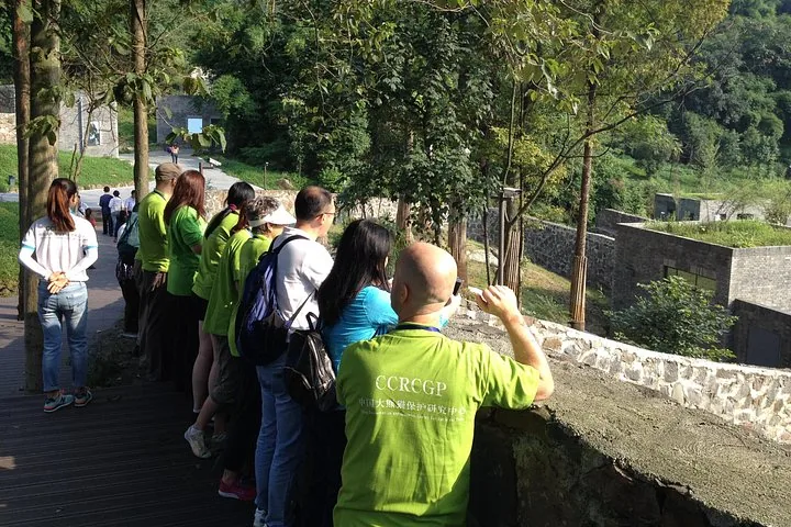 Touristes observant l’enclos des pandas à Panda Valley